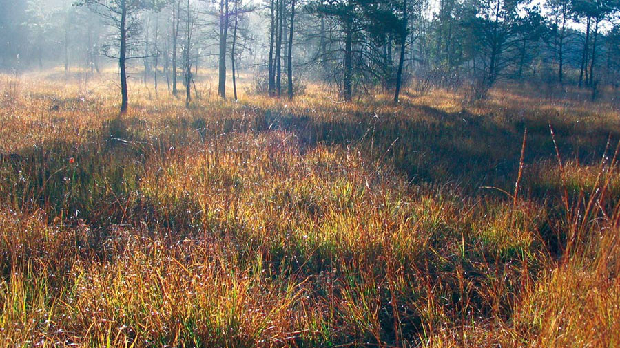 PATRIMOINE REMARQUABLE - LACAPELLE-VISECAMP