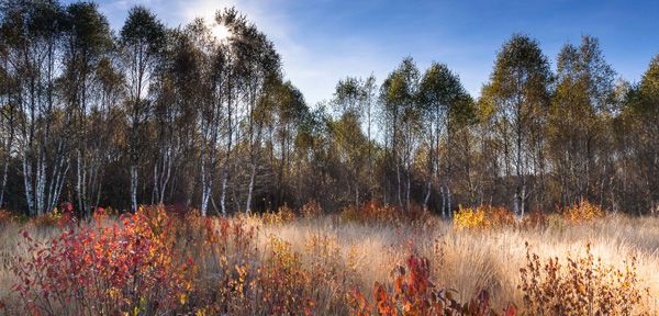 LE MARAIS DU CASSAN ET DE PRENTEGARDE - LACAPELLE VIESCAMP